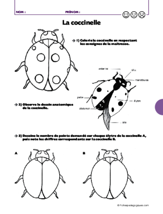 Rondes et jeux dansés (3) / La danse des coccinelles