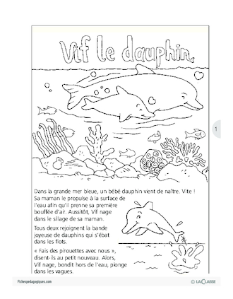 Sauvons les animaux (1) / Vif le dauphin