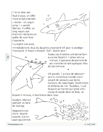 Sauvons les animaux (1) / Vif le dauphin