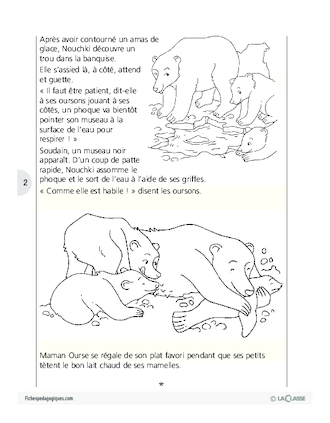 Sauvons les animaux (2) / Les ours blancs