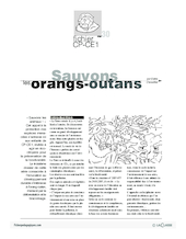 Sauvons les animaux (3) / Les orangs-outans