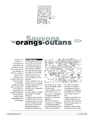 Sauvons les animaux (3) / Les orangs-outans