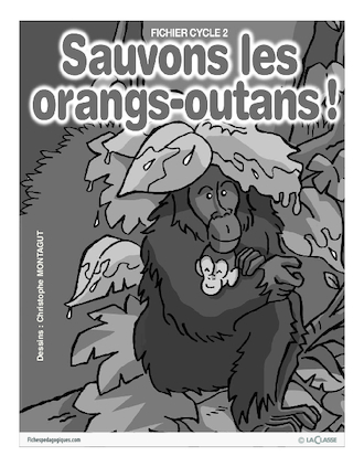 Sauvons les animaux (3) / Les orangs-outans
