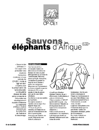 Sauvons les animaux : l'éléphant d'Afrique