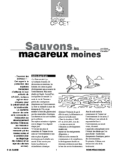 Sauvons les animaux : le macareux moine