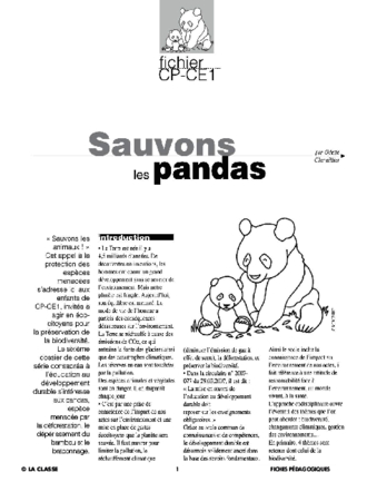 Sauvons les animaux : le panda