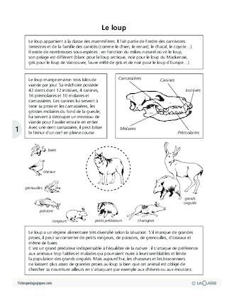 Se repérer dans une page imprimée