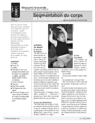 Segmentation du corps et articulations (1)