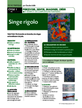 Singe rigolo