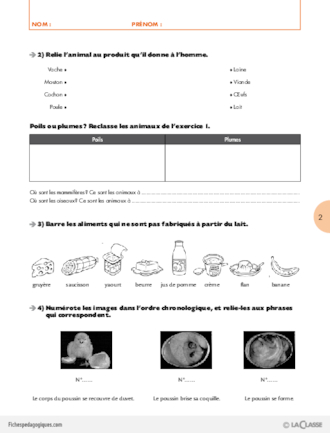 Sorties scolaires (3) / Visite à la ferme