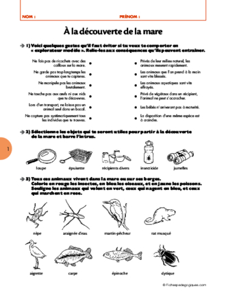 Sorties scolaires (4) / A la découverte de la mare