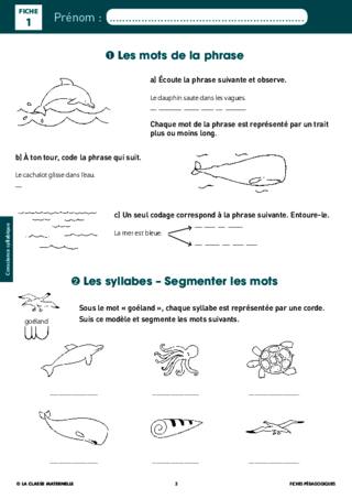 Syllasons GS Animaux de la mer