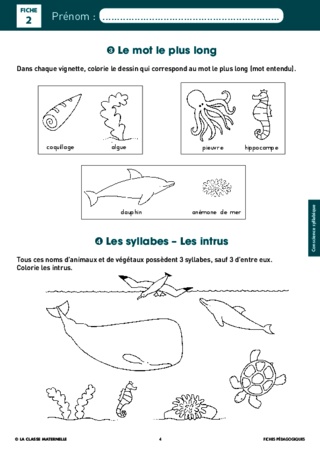 Imagier Les animaux polaires - CE1, CP, Grande Section, Maternelle, Moyenne  Section - La Salle des Maitres