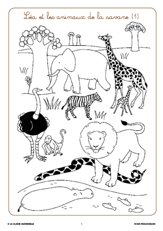 Syllasons GS Animaux de la savane (1) - FichesPédagogiques.com