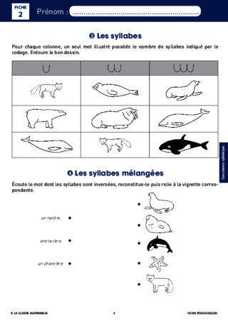 Syllasons GS Animaux du froid