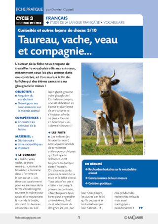 Taureau, vache, veau et compagnie