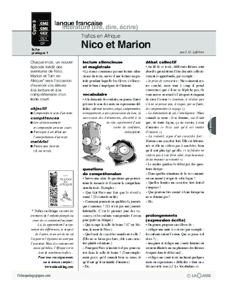 Trafics en Afrique (1) / Nico et Marion