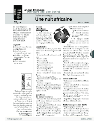 Trafics en Afrique (4) / Une nuit africaine