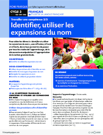 Travailler une compétence  (3) / Identifier, utiliser les expansions du nom