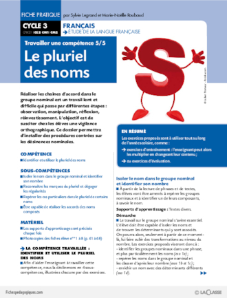 Travailler une compétence (5) / Le pluriel des noms