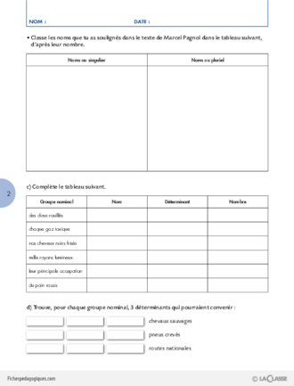 Travailler une compétence (5) / Le pluriel des noms