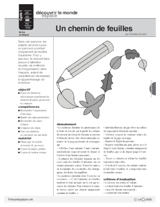 Un chemin de feuilles