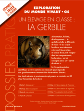 Un élevage en classe : la gerbille