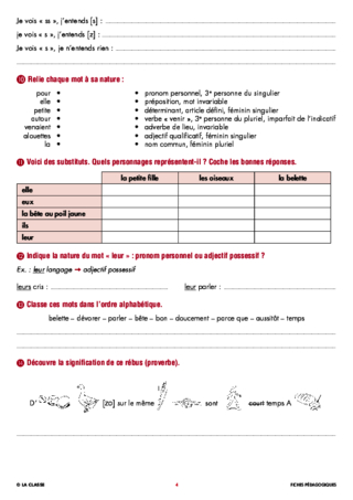 Une année de dictées CM1 janvier