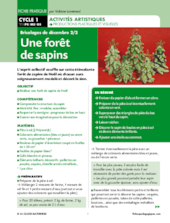 Une forêt de sapins