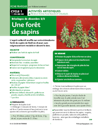 Une forêt de sapins