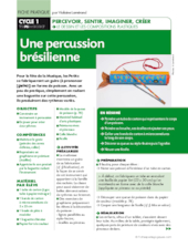 Une percussion brésilienne