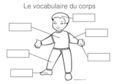 Vocabulaire du corps et du visage