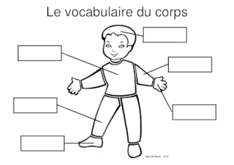 Vocabulaire du corps et du visage