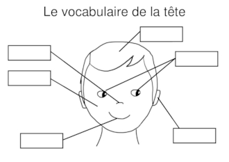 Vocabulaire du corps et du visage