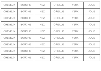 Vocabulaire du corps et du visage