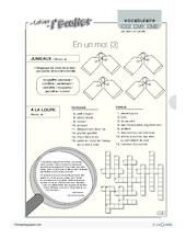 Vocabulaire / En un mot (3)