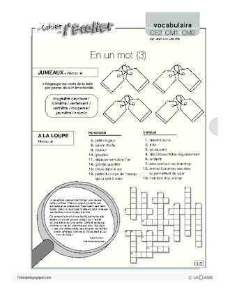 Vocabulaire / En un mot (3)