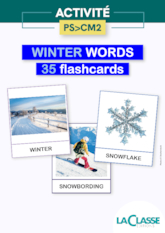 Winter words - 35 flashcards