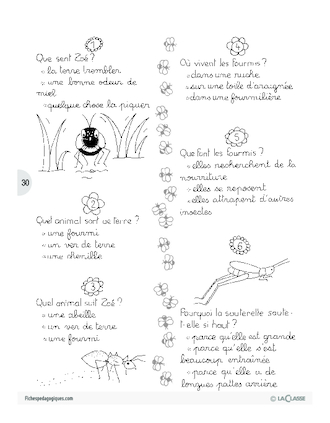 Zoé la petite abeille (4)